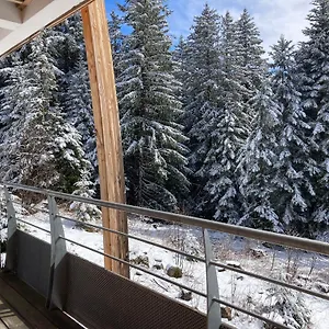 Appartement 1700 Pour 4 Personnes - Au Calme - Avec Wifi, Chamrousse